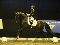 Kartsevo Etoile DES 201113_2265